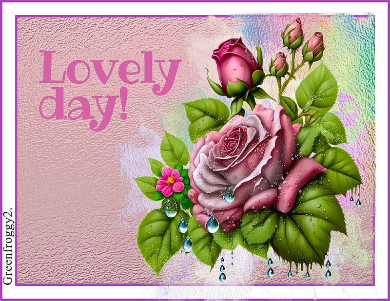 1920x1080px, 1080P free download | LOVELY DAY, DAY, LOVELY, COMMENT ...