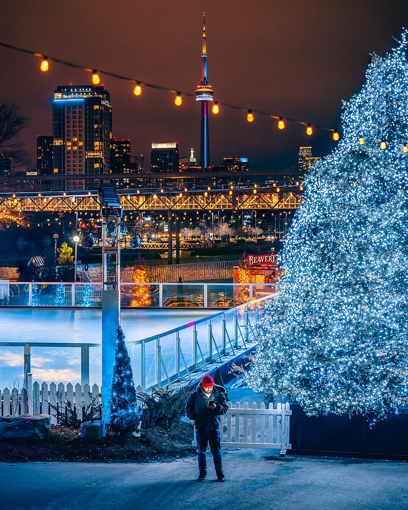 man standing front of lighted tree at night, HD phone wallpaper