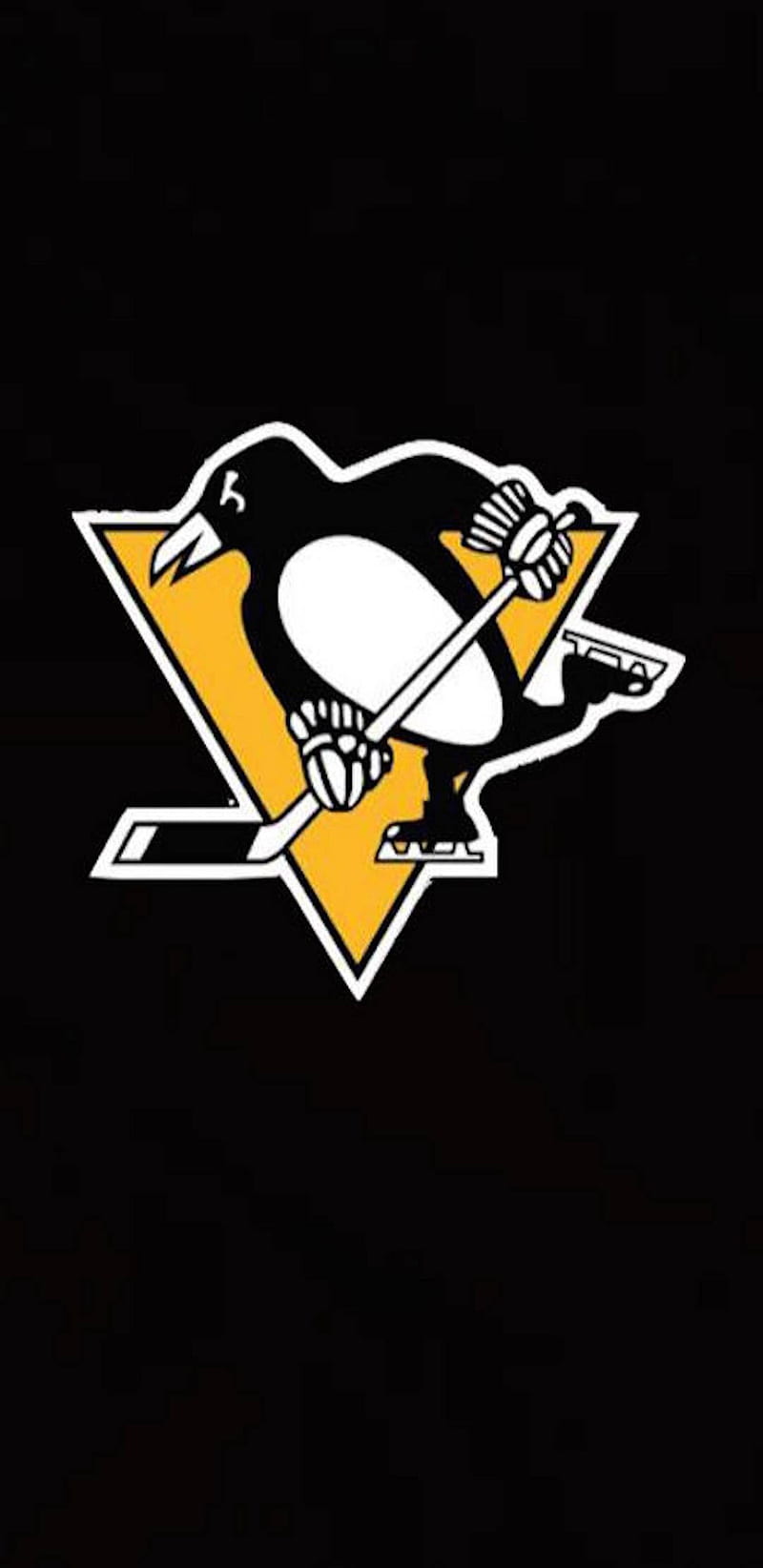 Pittsburgh penguins, cup, hockey, nhl, stanley, teams, HD phone wallpaper