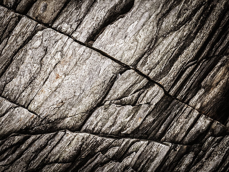 texture, stone, rock, fossil, HD wallpaper