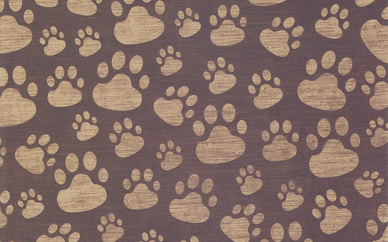 paws patterns, creative, footprints patterns, abstract backgrounds, dog footprints, background with paws, background with footprints, HD wallpaper