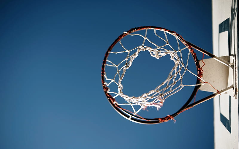 Basketball Ring, basketball, esports, HD wallpaper
