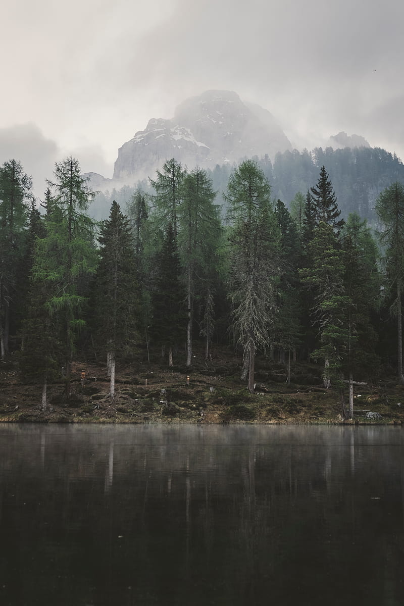 trees, mountains, fog, lake, landscape, HD phone wallpaper