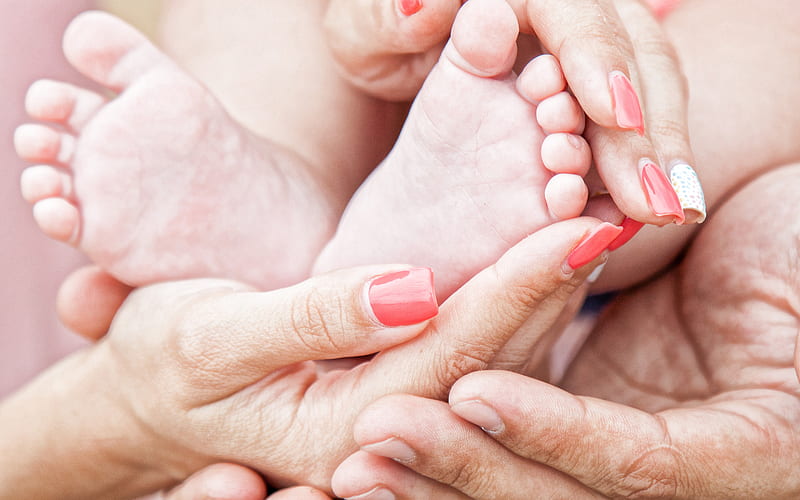 family, birth of a child, baby feet in parents hands, parenthood, baby, family concepts, HD wallpaper