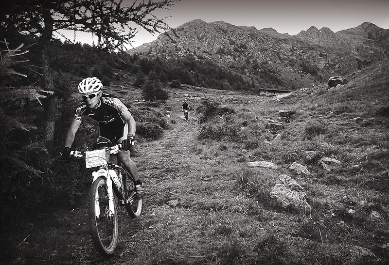 Mountain Bike (black and White), mountain, tree, bicycle, man, hill, HD wallpaper