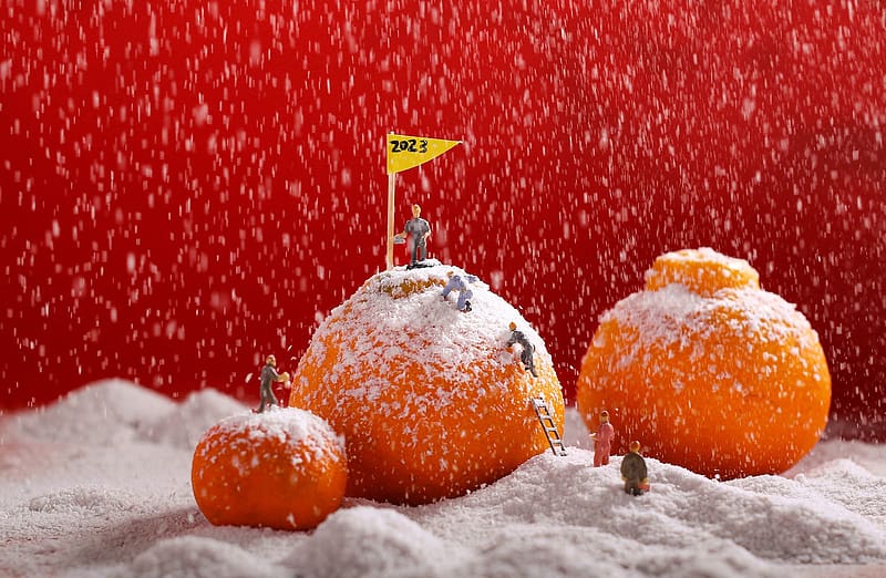 :), fruit, orange, mountain, composition, winter, food, mandarin, creative, fantasy, iarna, snow, red, HD wallpaper