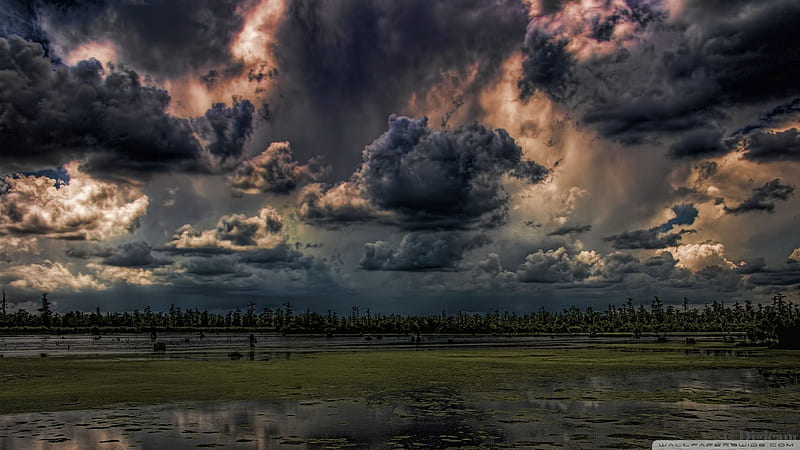 mean skies r, r, dark clouds, trees, swamp, HD wallpaper