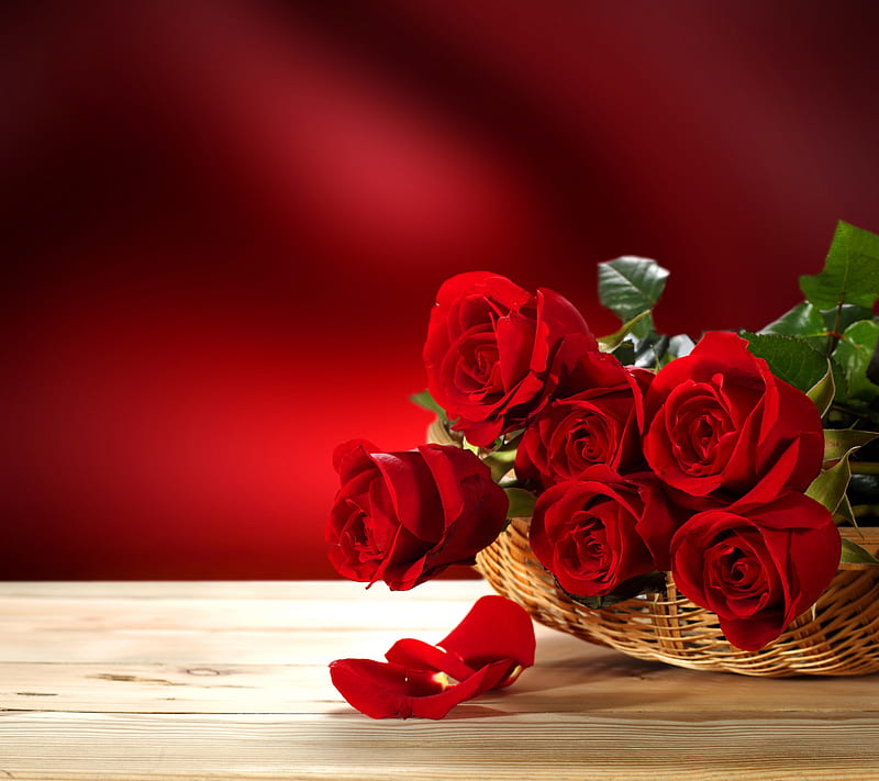 Roses, bonito, love, red roses, romance, romantic, HD wallpaper | Peakpx