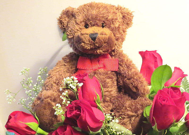 The Way To A Woman's Heart, romance, rose, stuffed animal, bear, valentine, animal, love, heart, teddy bear, HD wallpaper