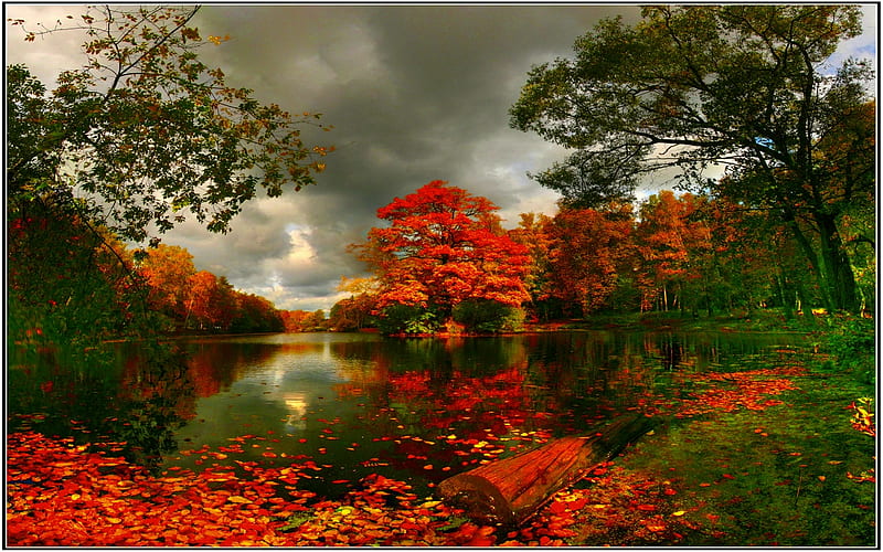 AUTUMN POND, pond, forest, autumn, sky, log, HD wallpaper | Peakpx