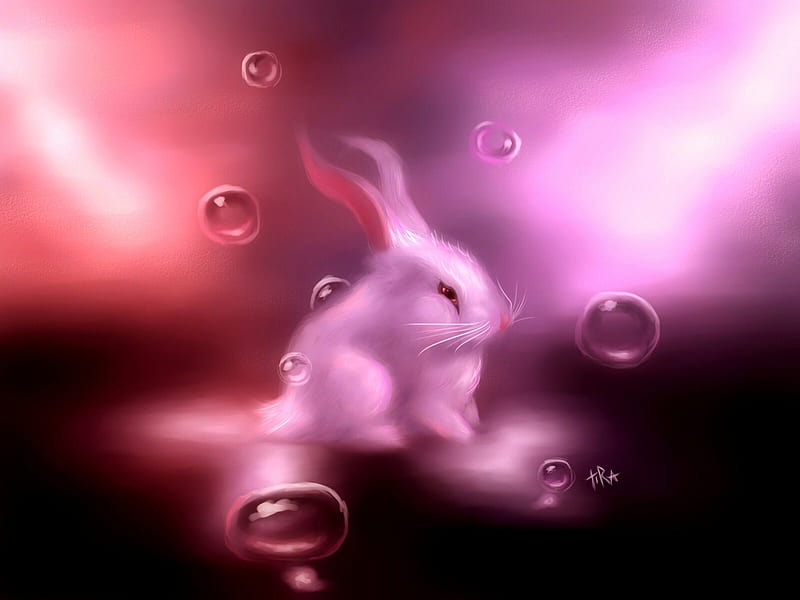Happy Easter, bubbles, rabbit, rose, lights, HD wallpaper | Peakpx