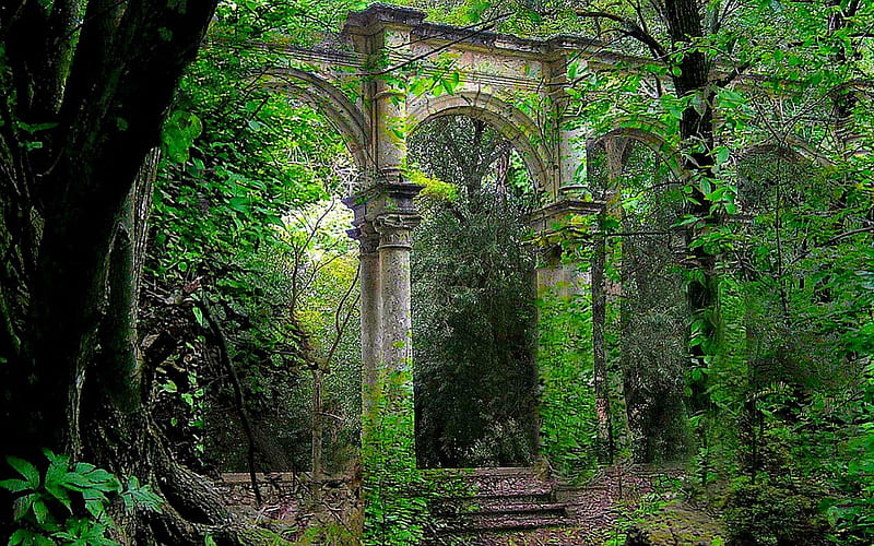 Forests ruins, architecture, green, plants, ruins, nature, forests, HD wallpaper