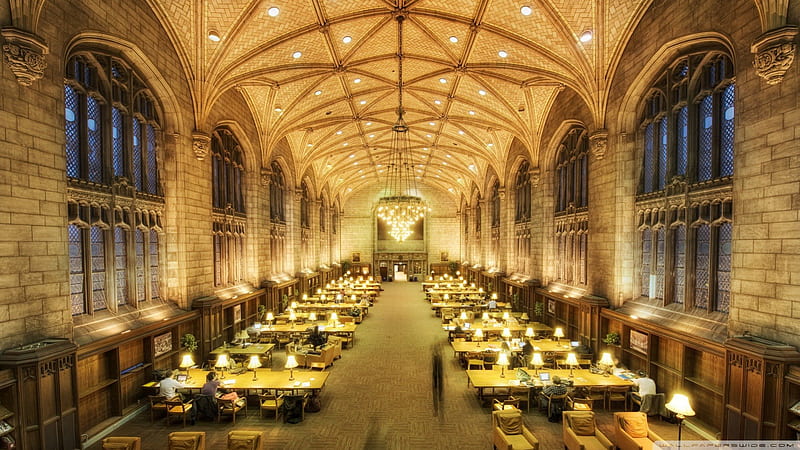 harper memorial library U of chicago, reading room, tables, gothic, library, lights, HD wallpaper