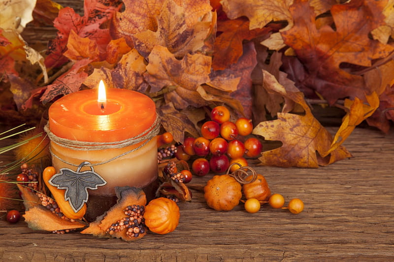 Autumn Candle, table, candle, still life, autumn, leaves, berries, light, HD wallpaper
