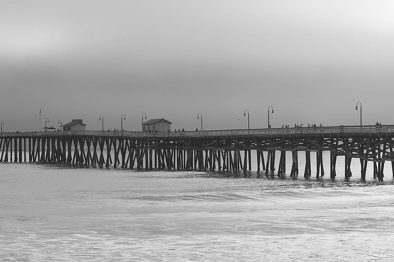 bridge over body of water on grayscale phot, HD wallpaper