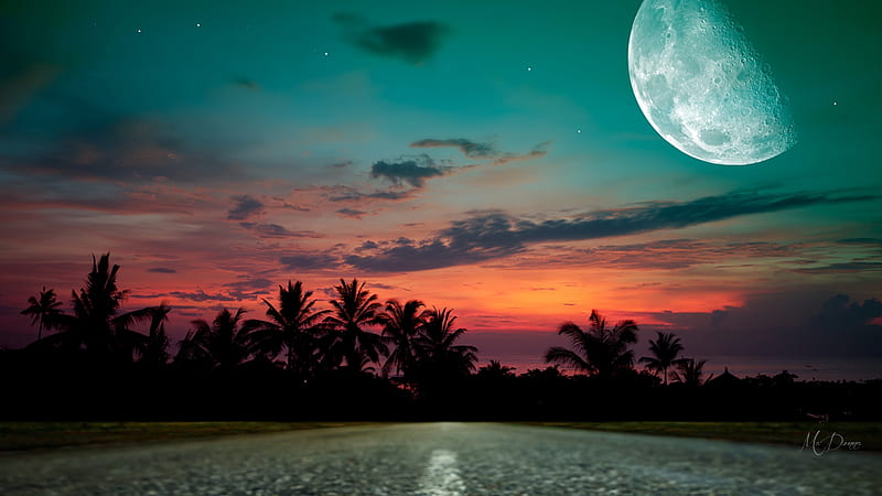 Early Morning Drive, sunset, sky, trees, palms, highway, white line, moon, full moon, bright, sunrise, road, Firefox Persona theme, HD wallpaper