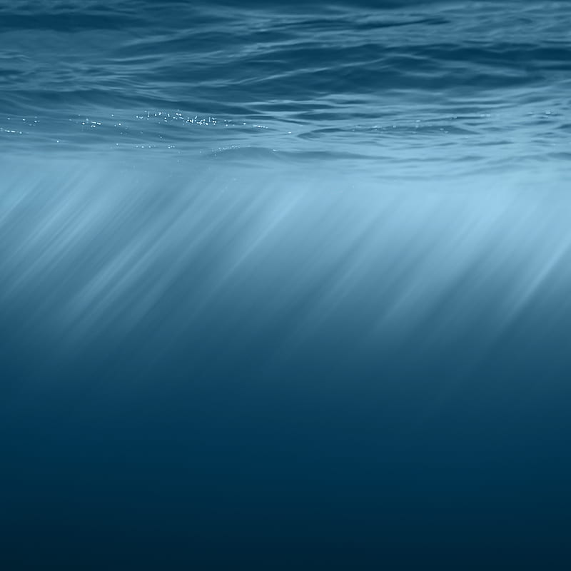 underwater, ocean, blue sea, HD phone wallpaper