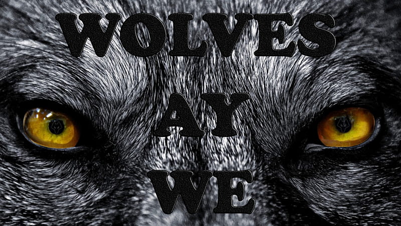 Wolves Ay We, soccer, wolverhampton wanderers, fc, wolverhampton, screensaver, football, wwfc, wolves, wanderers, eyes, HD wallpaper