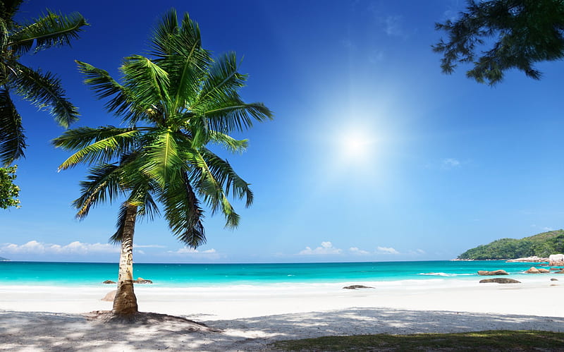 Tropical Beach, ocean, palms, sea, beach, sand, paradise, summer, sunshine, island, tropica, coast, HD wallpaper