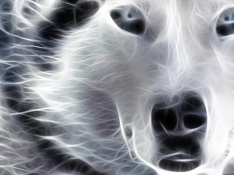 Wolf, nose, fractal, white, blue, HD wallpaper | Peakpx
