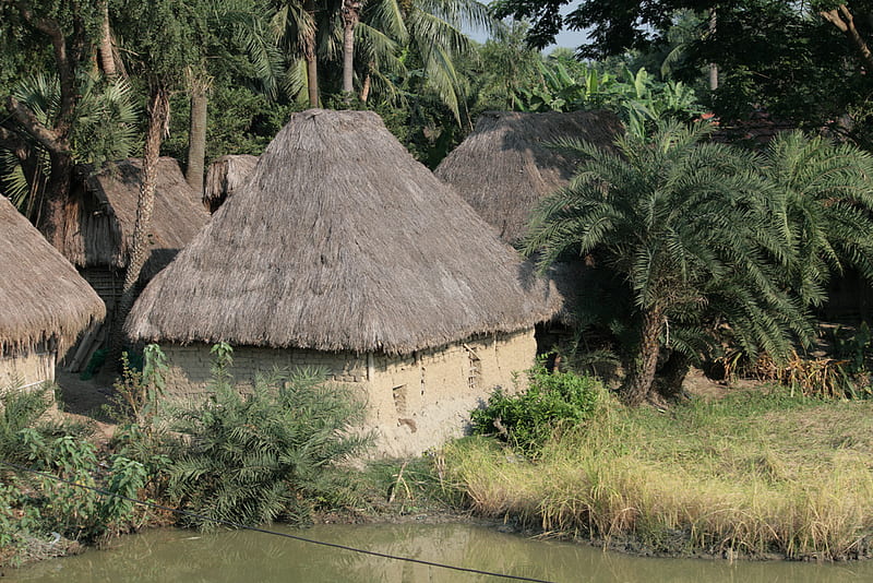 A VILLAGE, village, nature, hut, green, HD wallpaper