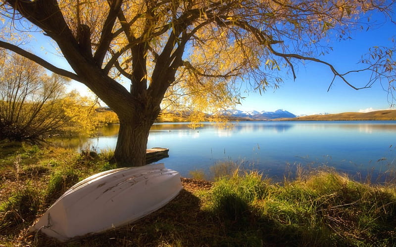Stillness Secenery, tree, lakeside, boat, view, spring, lake, HD wallpaper