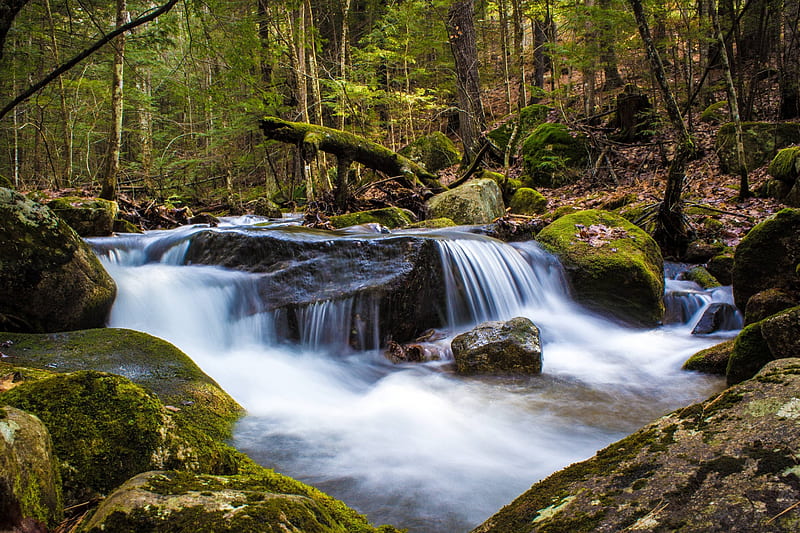 rushing river, forest, cool, nature, river, fun, HD wallpaper