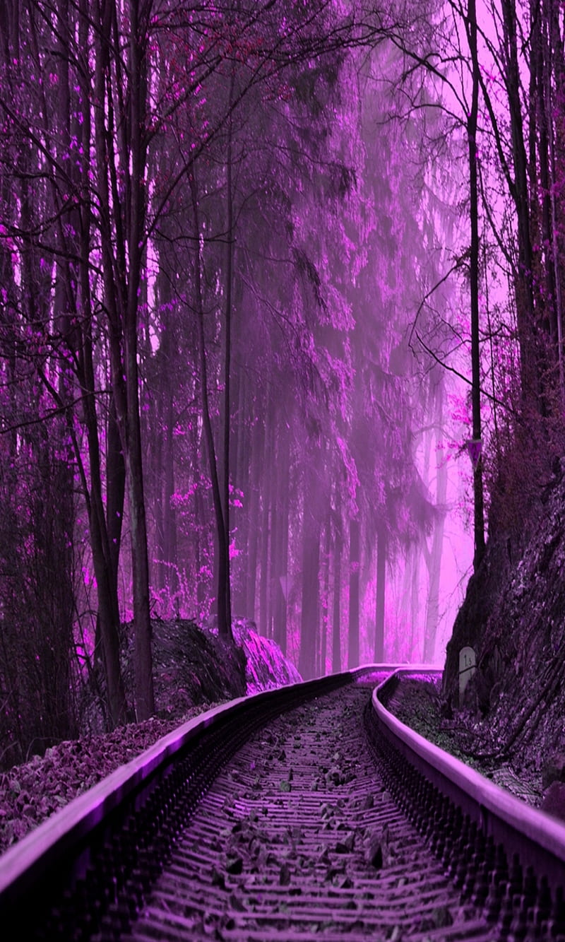 purple train tracks, forest, natural, nature, new, nice, park, HD phone wallpaper