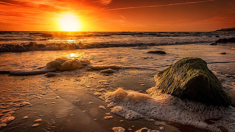 Beach Coast With Waves Foam And Rock Under Sunset Golden Sky Sunset, HD wallpaper