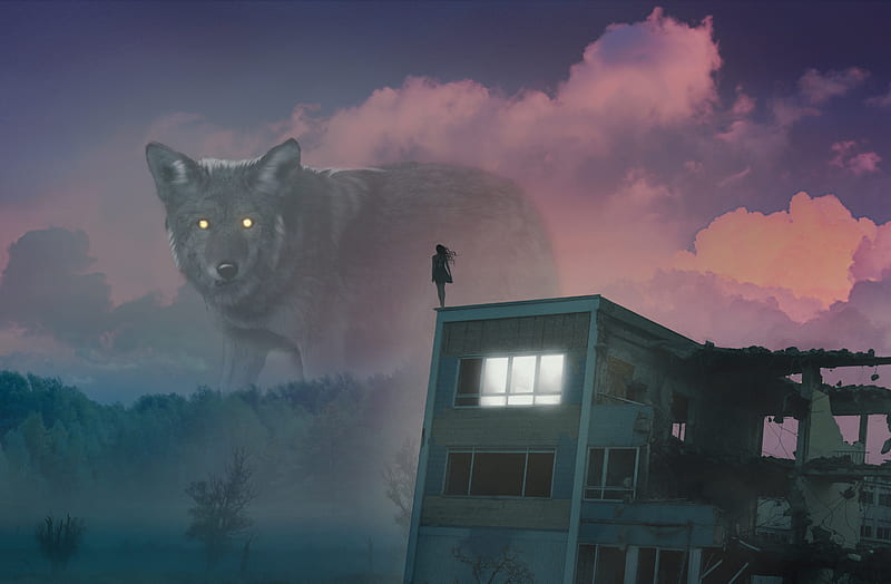 wolf, giant, girl, roof, fog, illusion, HD wallpaper