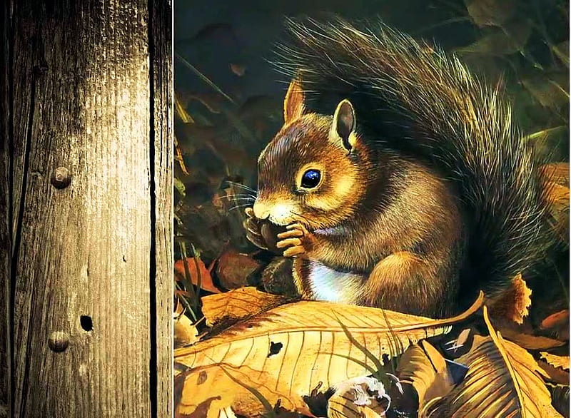 Provisions for Winter, autumn, squirrel, leaves, painting, artwork, HD wallpaper