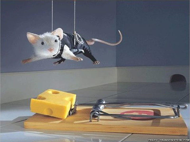 mouse mission impossible, mouse-mission-impossible, HD wallpaper