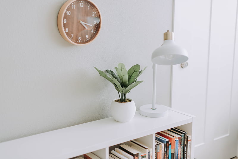 green plant on white pot beside white study lamp, HD wallpaper
