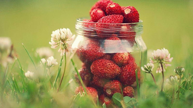 jar of berry, fruit, nature, berrys, jar, HD wallpaper
