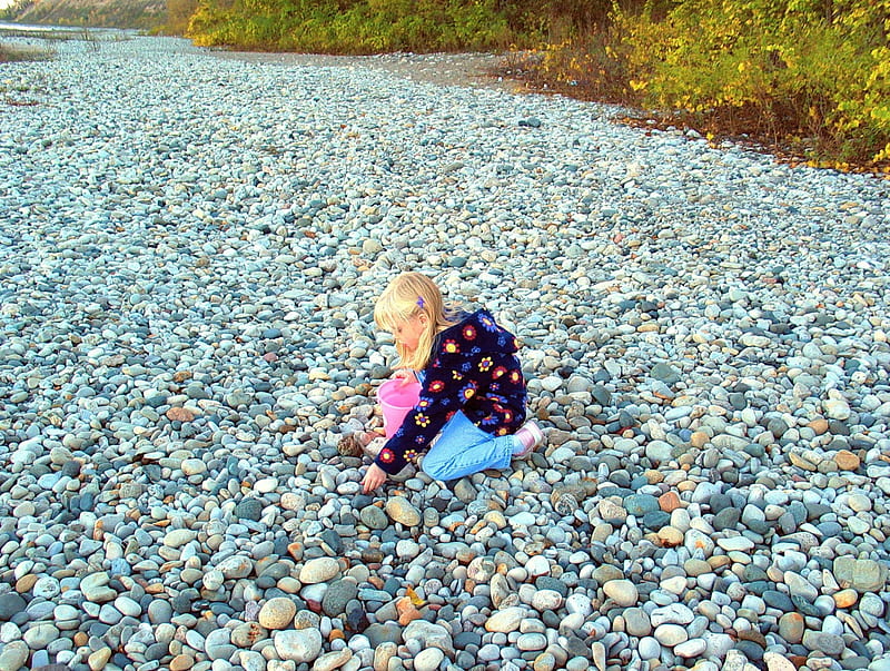 Picking-a-Few-Pebbles., Looking for Diamond in the Rough, Different Shapes and Size Pebbles and Rocks, Many Colored Rocks, Rocky Beaches, HD wallpaper
