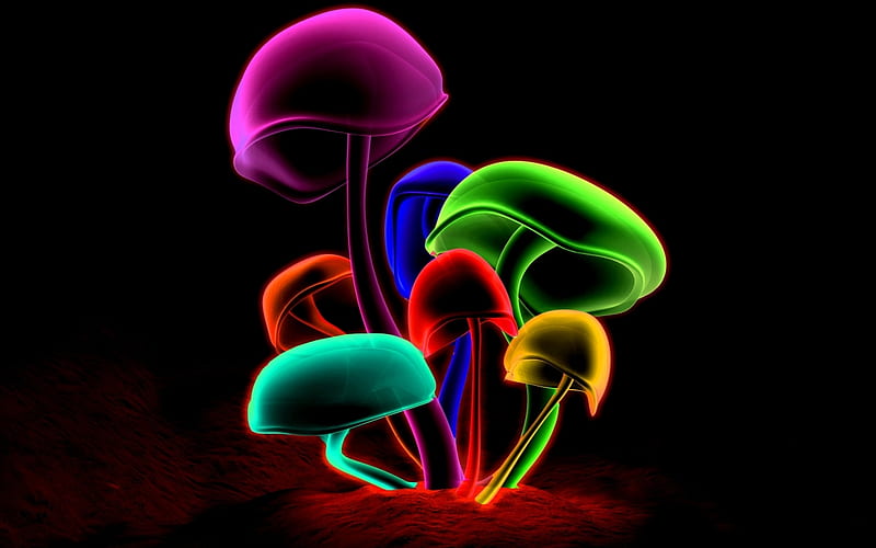 COLORFUL MUSHROOMS, bright, colorful, neon, mushrooms, HD wallpaper