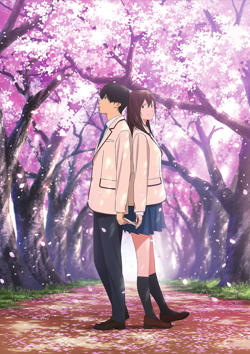 Eat Your Pancreas , anime, blossom, eat, pancreas, to want, your, HD phone wallpaper