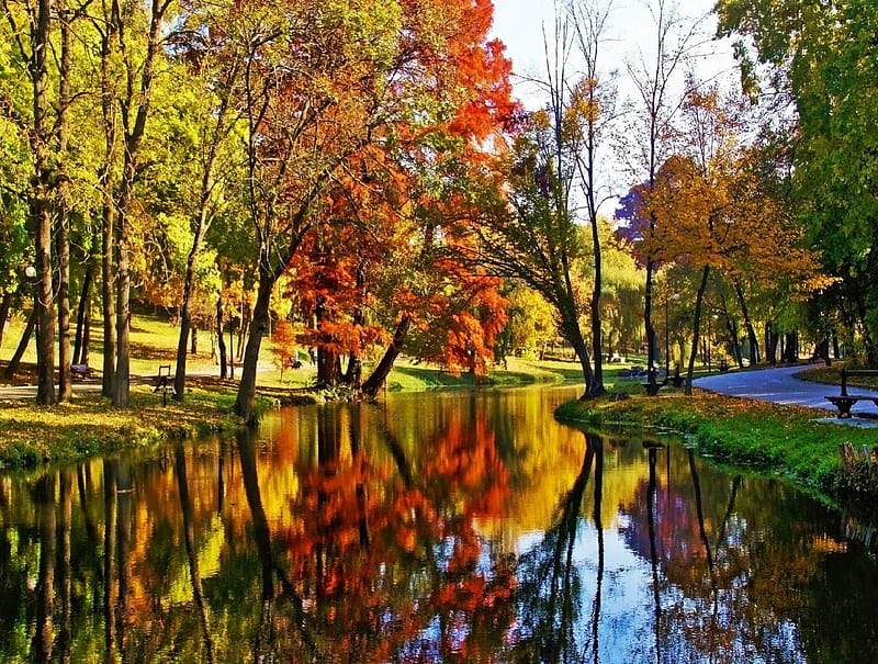 Beautiful Autumn, lakeside, water, colors, reflection, trees, HD ...