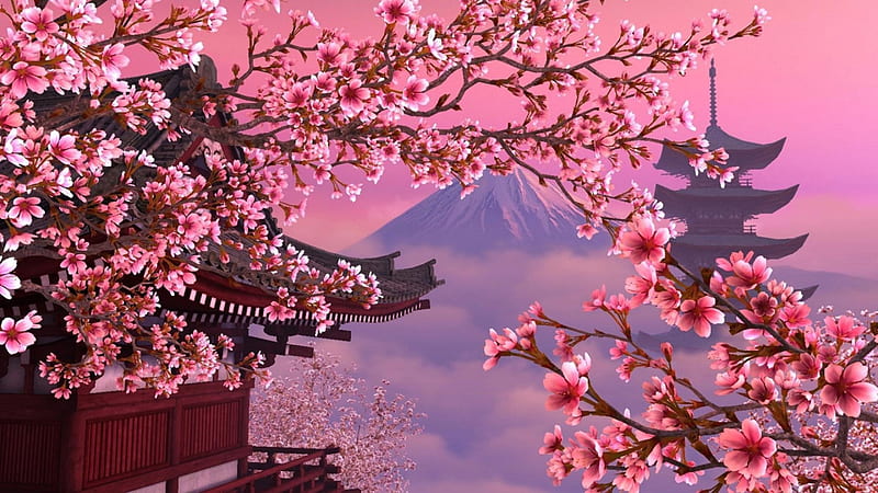 Cherry tree in Japan, Cherry, tree, japan, Mount Fuji, HD wallpaper