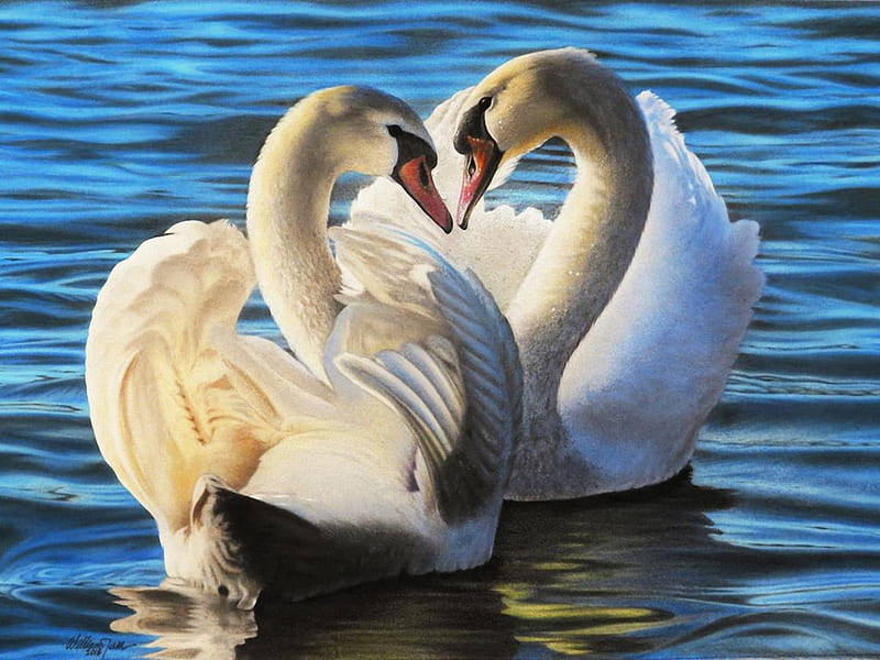 White Swans, water, paint, white, birds, couple, swans, HD wallpaper