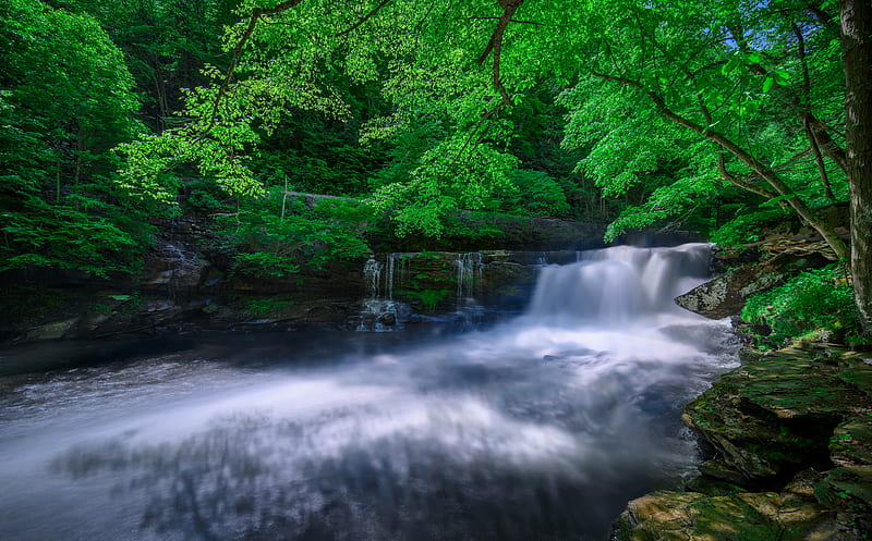 Forest Creek Ultra, Nature, Rivers, West, Spring, Green, Trees, Gorge, River, Waterfall, Water, National, Virginia, Smooth, Creek, Falls, unitedstates, fayette, smoothwater, dunloup, dunloupcreek, greentrees, newrivergorgenationalriver, thurmond, westvirginia, HD wallpaper