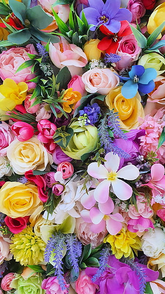 Colourful Flowers Wallpapers For Android | Best Flower Site