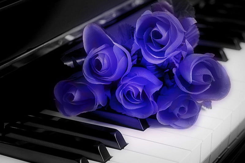 Thank you for all, with love, roses, for friend, piano, HD wallpaper