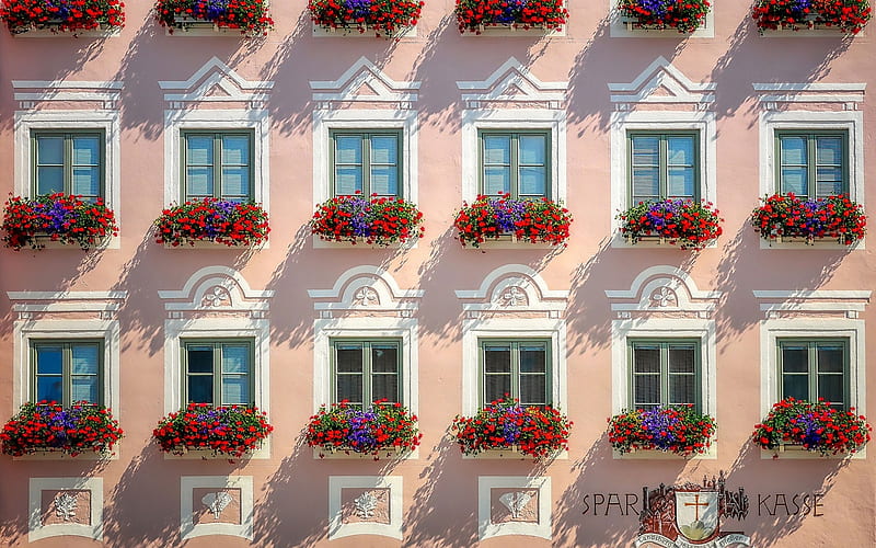 Windows in Germany, flowers, windows, house, Germany, HD wallpaper
