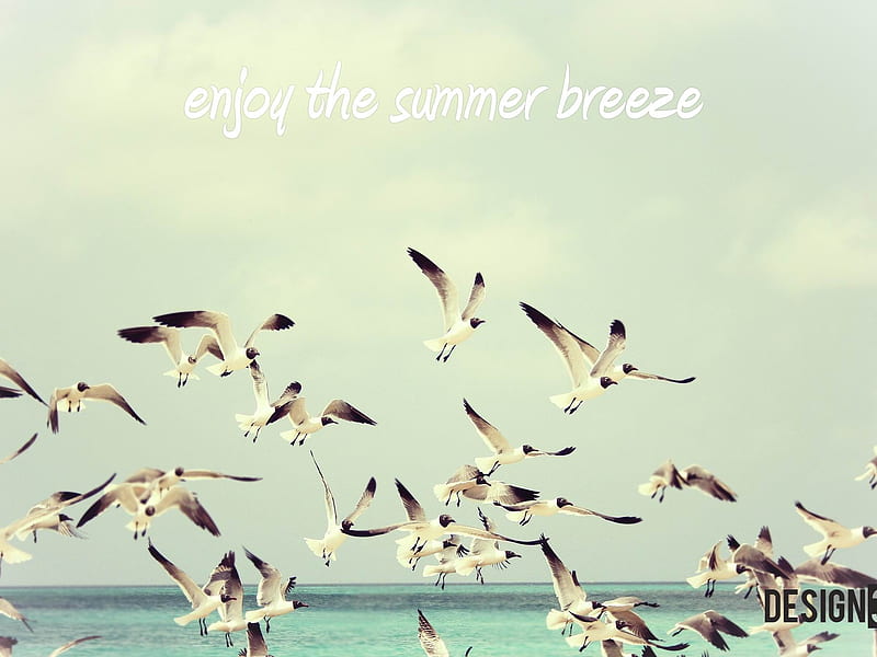 breeze-summer landscape, HD wallpaper