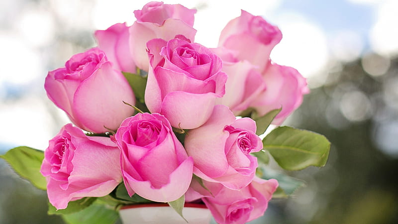 Closeup View Of Bunch Of Pink Roses With Leaves In Bokeh Background ...