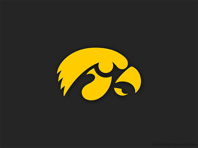 University of Iowa Logo, yellow, teams, back, HD wallpaper