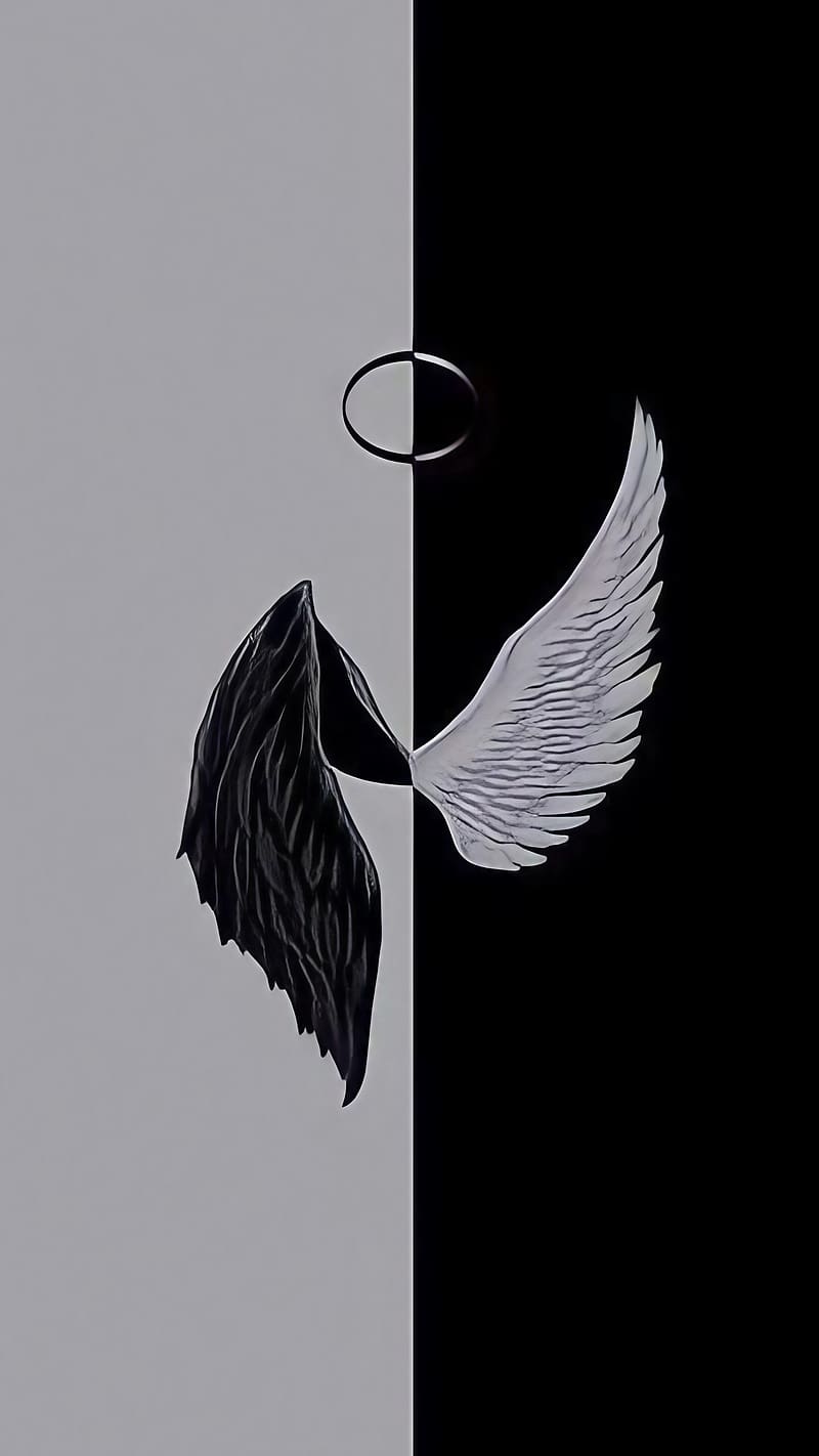 Black And White Aesthetic, Angel And Devil Wings, HD phone wallpaper