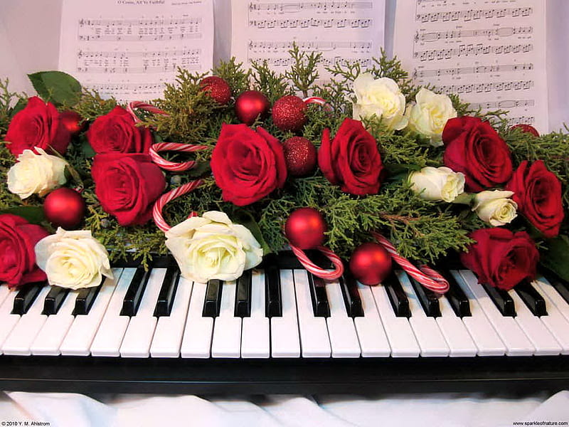 Christmas music, red, christmas, music, roses, white, piano, decor, HD wallpaper