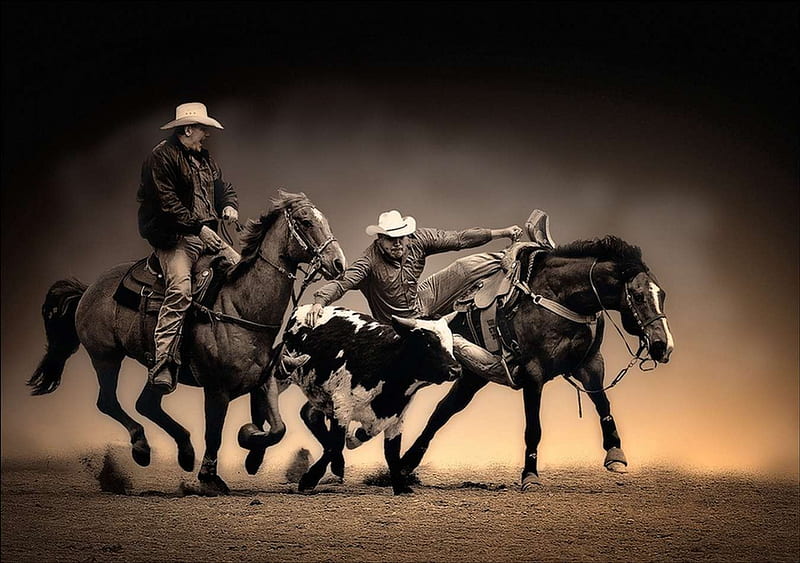 Rodeo, caballo, vaquero, caballos, Fondo de pantalla HD | Peakpx
